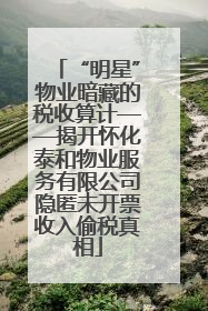 “明星”物业暗藏的税收算计——揭开怀化泰和物业服务有限公司隐匿未开票收入偷税真相