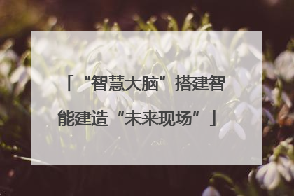 “智慧大脑”搭建智能建造“未来现场”