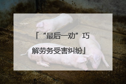 “最后一劝”巧解劳务受害纠纷