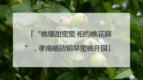 “桃缘甜蜜蜜·相约桃花驿”，孝南杨店镇早蜜桃开园