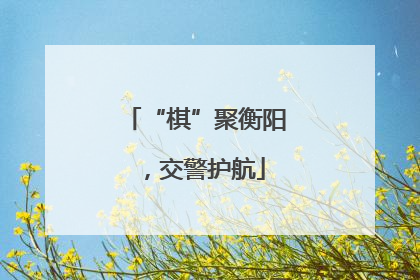 “棋”聚衡阳，交警护航