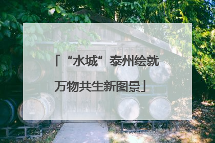 “水城”泰州绘就万物共生新图景