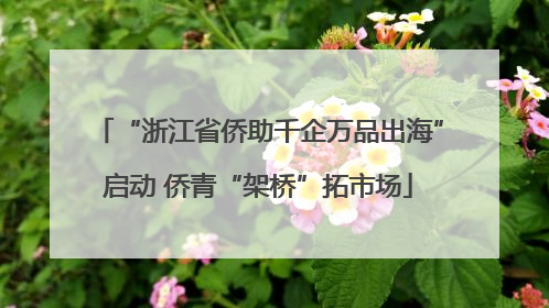 “浙江省侨助千企万品出海”启动 侨青“架桥”拓市场