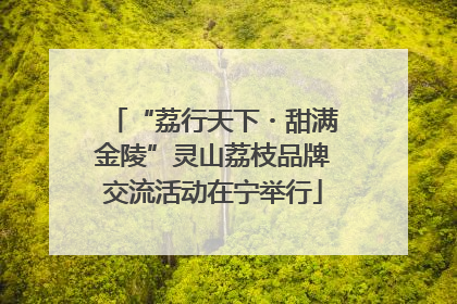 “荔行天下・甜满金陵”灵山荔枝品牌交流活动在宁举行