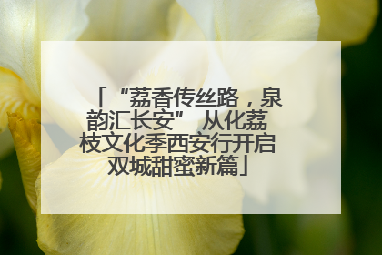 “荔香传丝路，泉韵汇长安” 从化荔枝文化季西安行开启双城甜蜜新篇