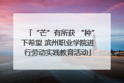 “芒”有所获 “种”下希望 滨州职业学院进行劳动实践教育活动