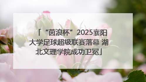 “茵浪杯”2025襄阳大学足球超级联赛落幕 湖北文理学院成功卫冕