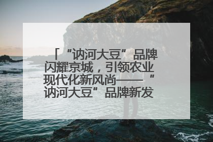 “讷河大豆”品牌闪耀京城，引领农业现代化新风尚——“讷河大豆”品牌新发地推介会圆满落幕
