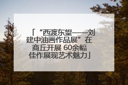 “西渡东望——刘建中油画作品展”在商丘开展 60余幅佳作展现艺术魅力