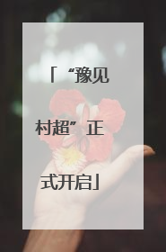 “豫见村超”正式开启