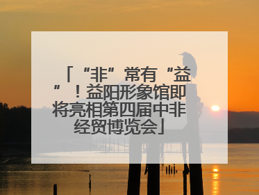“非”常有“益”！益阳形象馆即将亮相第四届中非经贸博览会
