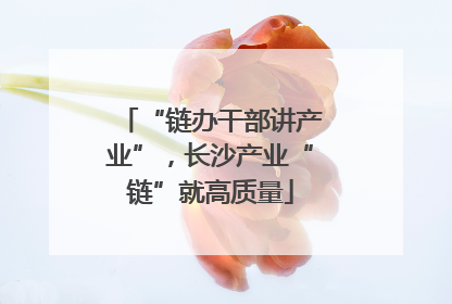 “链办干部讲产业”，长沙产业“链”就高质量