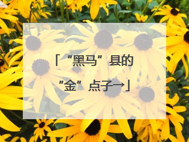 “黑马”县的“金”点子→