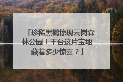 珍稀黑鹳惊现云岗森林公园！丰台这片宝地藏着多少惊喜？
