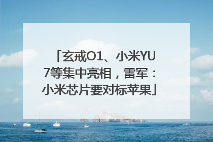 玄戒O1、小米YU7等集中亮相，雷军：小米芯片要对标苹果