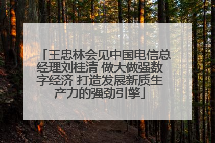 王忠林会见中国电信总经理刘桂清 做大做强数字经济 打造发展新质生产力的强劲引擎