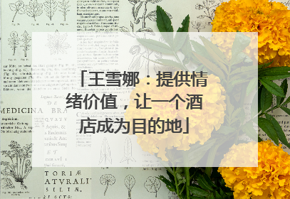 王雪娜：提供情绪价值，让一个酒店成为目的地