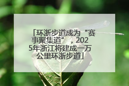 环浙步道成为“赛事聚集道”，2025年浙江将建成一万公里环浙步道