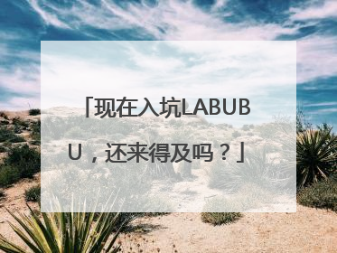 现在入坑LABUBU，还来得及吗？