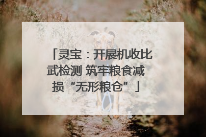灵宝：开展机收比武检测 筑牢粮食减损“无形粮仓”