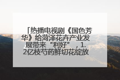 热播电视剧《国色芳华》给菏泽花卉产业发展带来“利好”，1.2亿枝芍药鲜切花绽放“国色芳华”