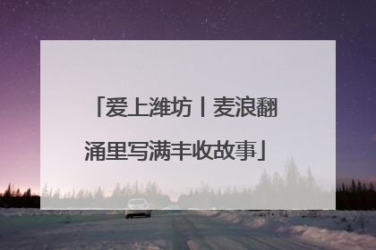 爱上潍坊丨麦浪翻涌里写满丰收故事