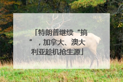 特朗普继续“搞”，加拿大、澳大利亚趁机抢生源