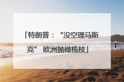 特朗普：“没空理马斯克” 欧洲抛橄榄枝