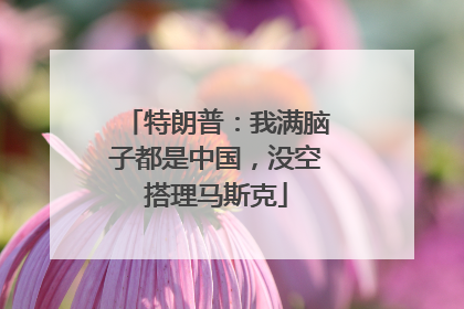 特朗普：我满脑子都是中国，没空搭理马斯克