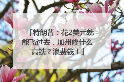 特朗普：花2美元就能飞过去，加州修什么高铁？浪费钱！