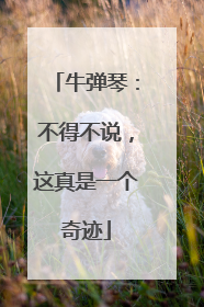 牛弹琴：不得不说，这真是一个奇迹