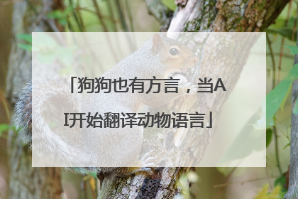 狗狗也有方言，当AI开始翻译动物语言