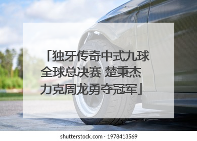 独牙传奇中式九球全球总决赛 楚秉杰力克周龙勇夺冠军