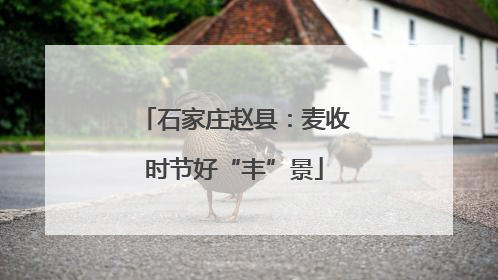 石家庄赵县：麦收时节好“丰”景