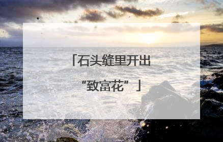 石头缝里开出“致富花”