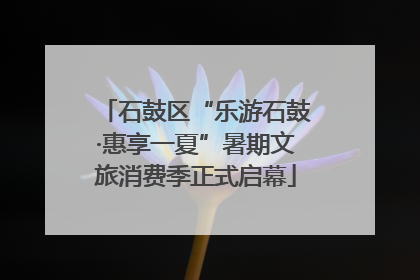 石鼓区“乐游石鼓·惠享一夏”暑期文旅消费季正式启幕