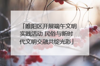 睢阳区开展端午文明实践活动 民俗与新时代文明交融共绽光彩