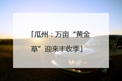 瓜州：万亩“黄金草”迎来丰收季