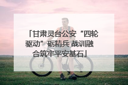 甘肃灵台公安“四轮驱动”砺精兵 战训融合筑牢平安基石
