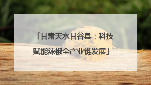 甘肃天水甘谷县：科技赋能辣椒全产业链发展