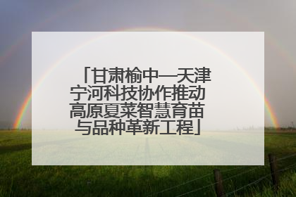 甘肃榆中—天津宁河科技协作推动高原夏菜智慧育苗与品种革新工程