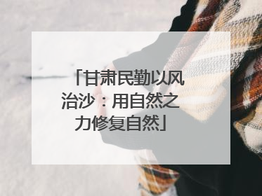 甘肃民勤以风治沙：用自然之力修复自然