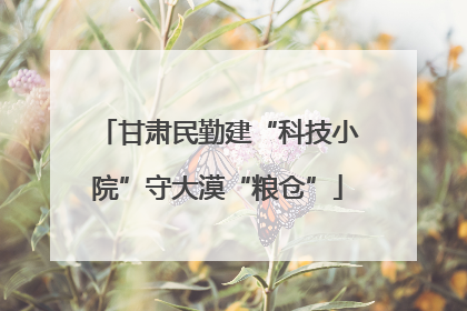 甘肃民勤建“科技小院”守大漠“粮仓”
