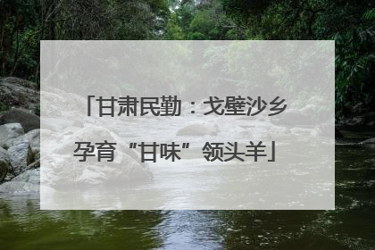 甘肃民勤：戈壁沙乡孕育“甘味”领头羊