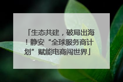 生态共建，破局出海！静安“全球服务商计划”赋能电商闯世界