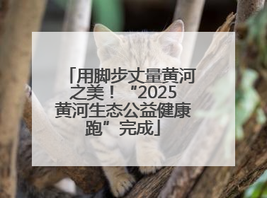 用脚步丈量黄河之美！“2025黄河生态公益健康跑”完成