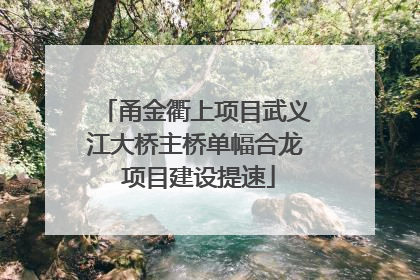 甬金衢上项目武义江大桥主桥单幅合龙 项目建设提速