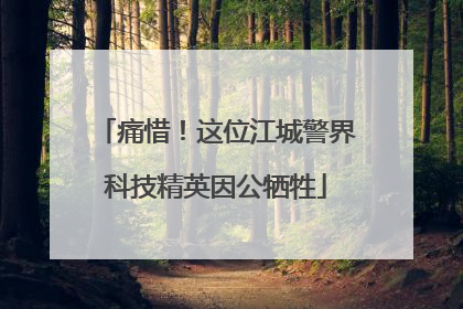 痛惜！这位江城警界科技精英因公牺牲