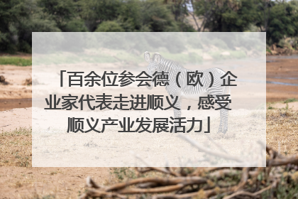 百余位参会德（欧）企业家代表走进顺义，感受顺义产业发展活力