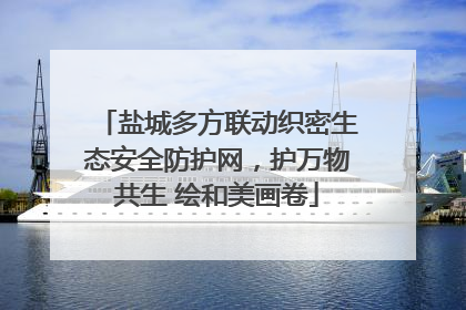 盐城多方联动织密生态安全防护网，护万物共生 绘和美画卷